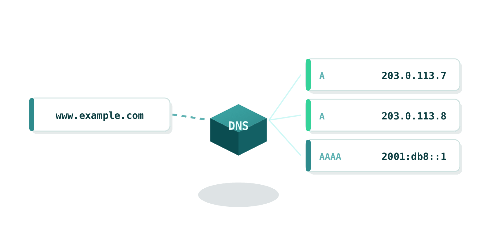 DNS resolves the hostname to its A and AAAA records: two IPv4 addresses and one IPv6