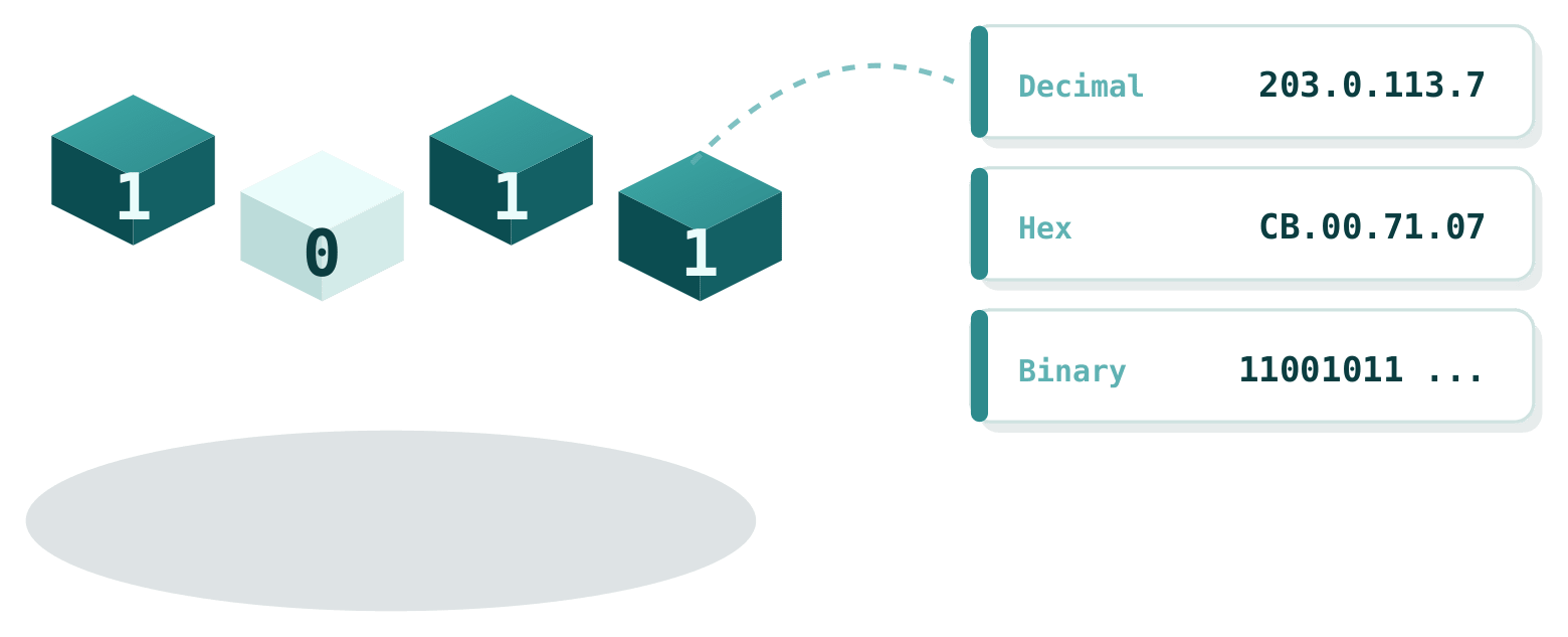 The same address in three notations: dotted decimal, hexadecimal and raw binary bits