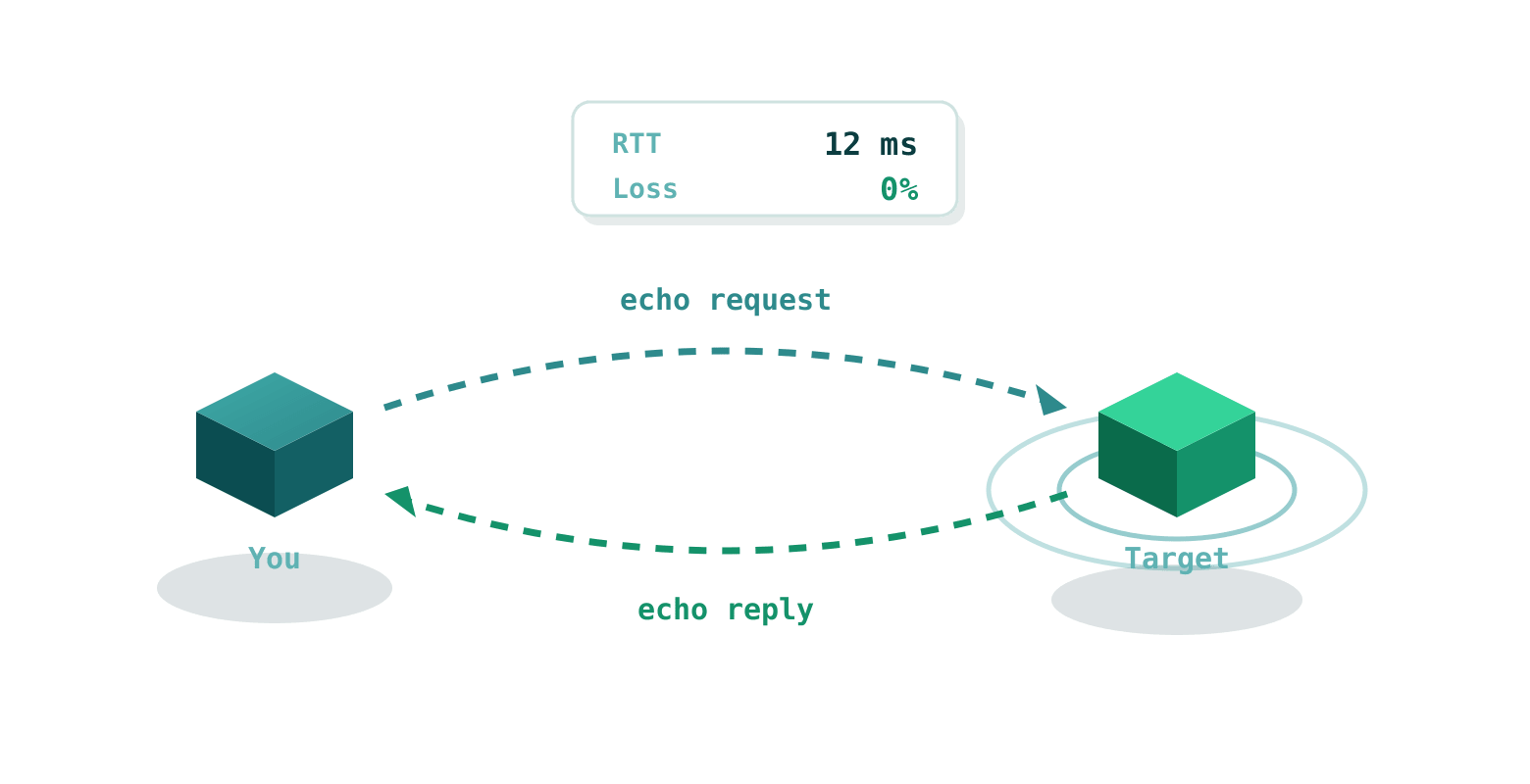 A ping test sends an ICMP echo request to the target and measures the round-trip time of the reply