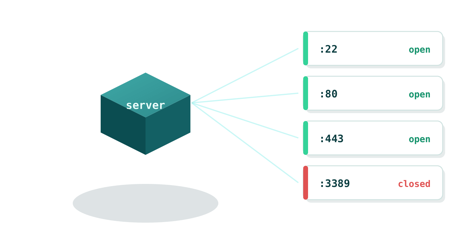 A port check opens TCP connections to the server and reports each port as open or closed
