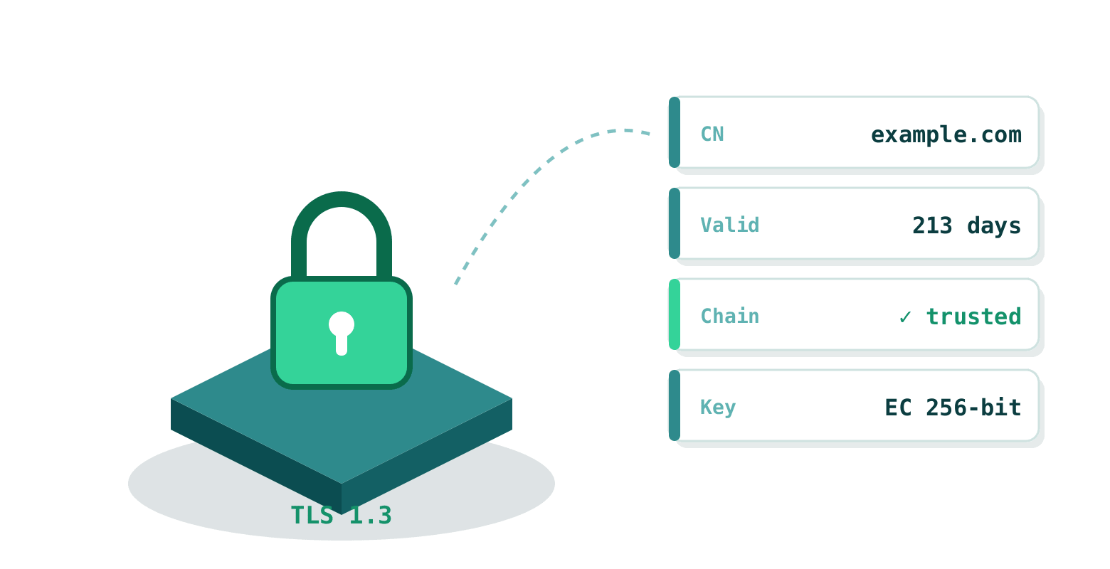 An SSL check reads the certificate: common name, validity, chain of trust, key type and TLS version