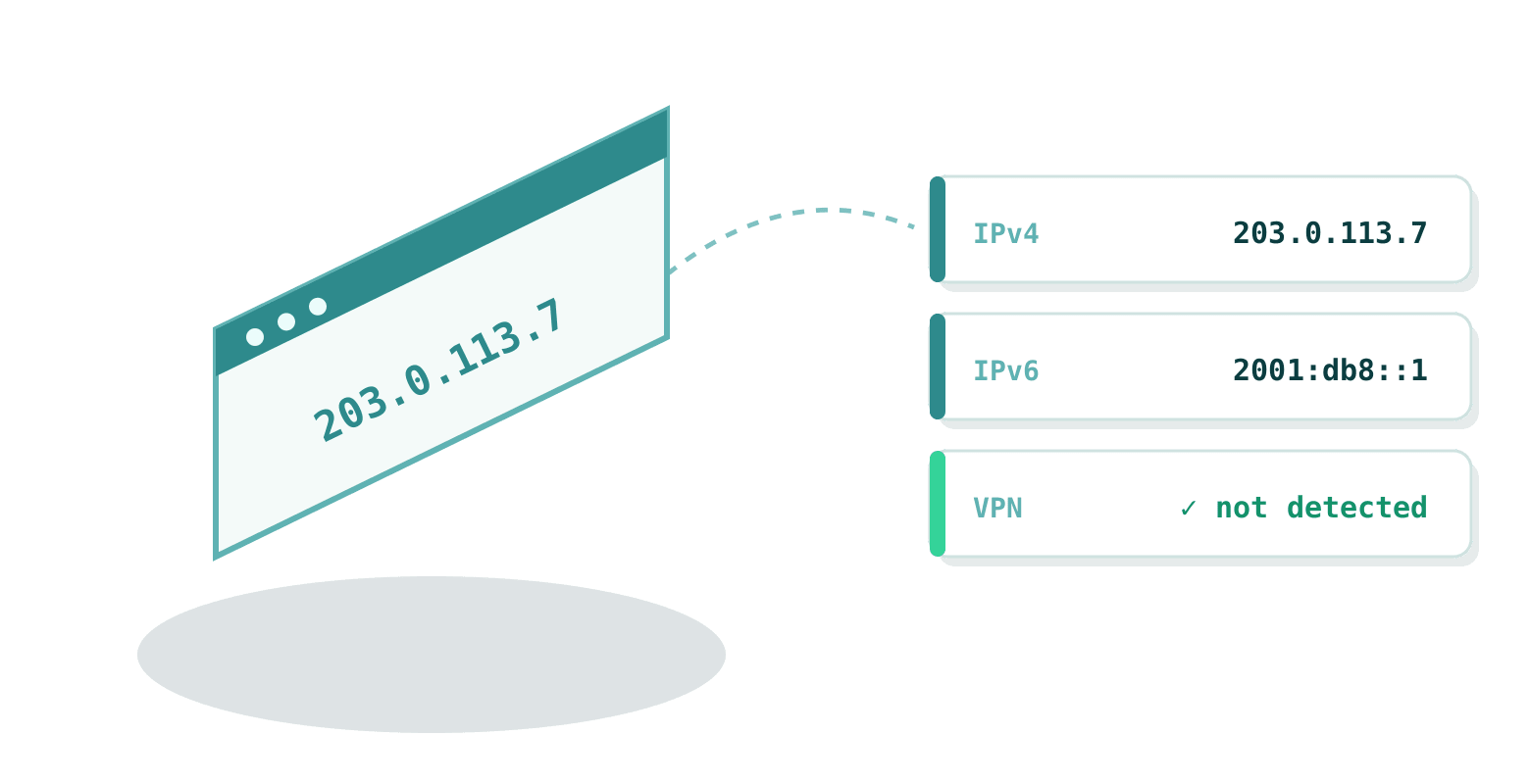 The browser shows the public IP with its IPv4 and IPv6 forms and the VPN verdict